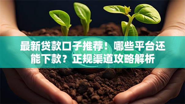 最新贷款口子推荐！哪些平台还能下款？正规渠道攻略解析