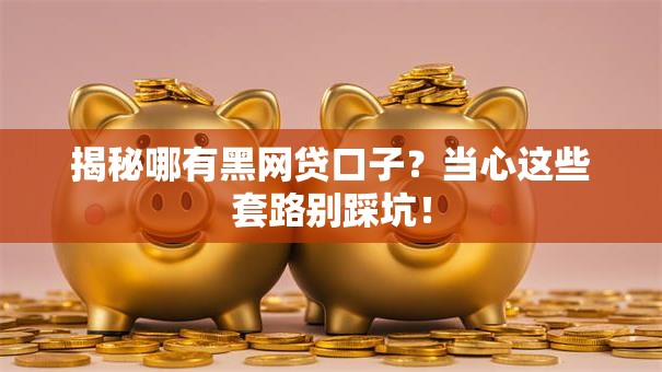 揭秘哪有黑网贷口子？当心这些套路别踩坑！
