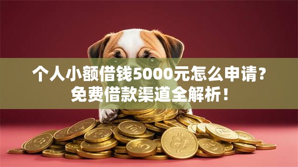 个人小额借钱5000元怎么申请？免费借款渠道全解析！