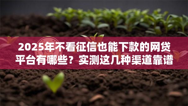2025年不看征信也能下款的网贷平台有哪些？实测这几种渠道靠谱