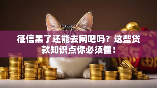 征信黑了还能去网吧吗？这些贷款知识点你必须懂！
