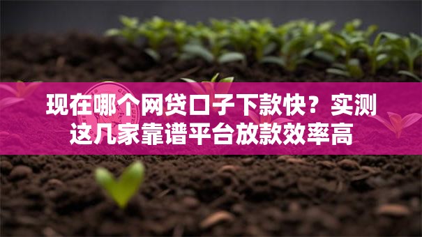 现在哪个网贷口子下款快？实测这几家靠谱平台放款效率高