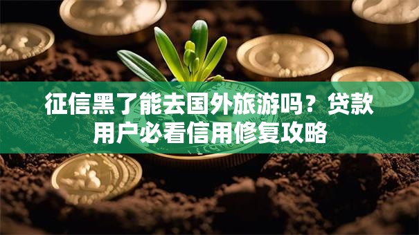 征信黑了能去国外旅游吗？贷款用户必看信用修复攻略