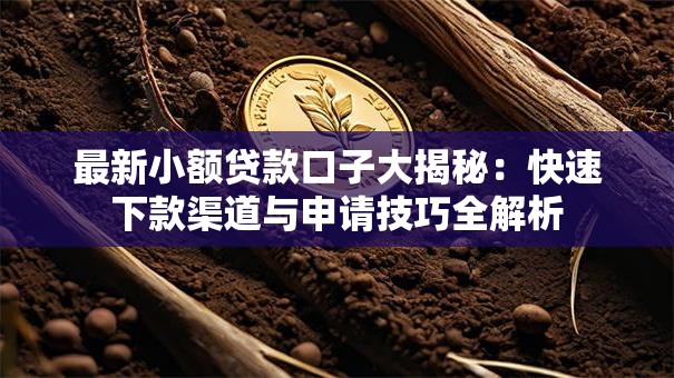 最新小额贷款口子大揭秘：快速下款渠道与申请技巧全解析