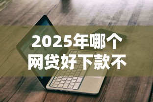 2025年哪个网贷好下款不看征信？实测推荐这几家避坑指南