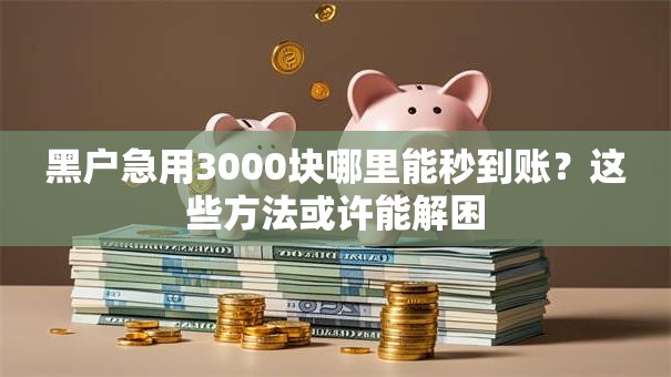 黑户急用3000块哪里能秒到账？这些方法或许能解困