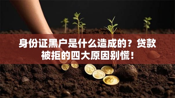 身份证黑户是什么造成的？贷款被拒的四大原因别慌！