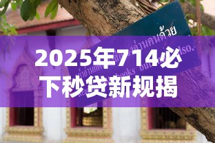 2025年714必下秒贷新规揭秘！快速到账技巧+避坑攻略