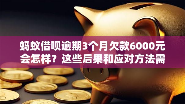 蚂蚁借呗逾期3个月欠款6000元会怎样？这些后果和应对方法需牢记！