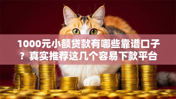 1000元小额贷款有哪些靠谱口子？真实推荐这几个容易下款平台