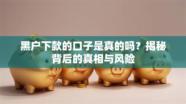 黑户下款的口子是真的吗？揭秘背后的真相与风险