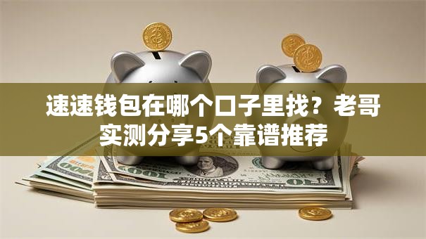 速速钱包在哪个口子里找？老哥实测分享5个靠谱推荐