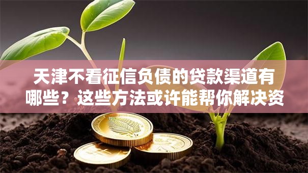 天津不看征信负债的贷款渠道有哪些？这些方法或许能帮你解决资金难题