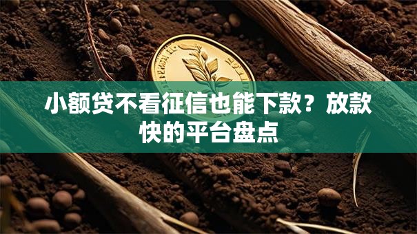 小额贷不看征信也能下款？放款快的平台盘点