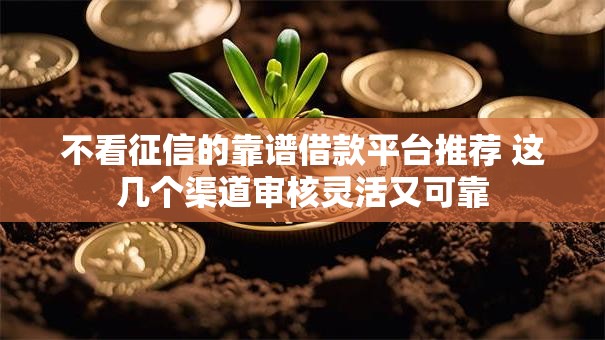 不看征信的靠谱借款平台推荐 这几个渠道审核灵活又可靠