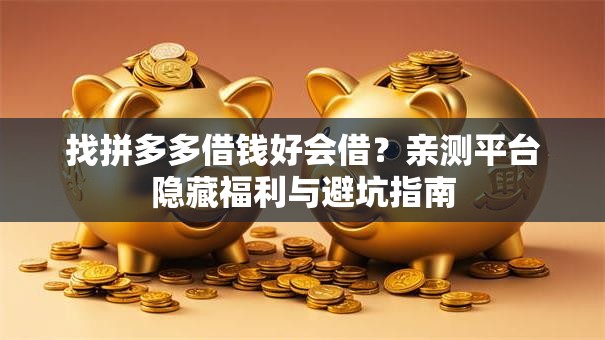 找拼多多借钱好会借？亲测平台隐藏福利与避坑指南
