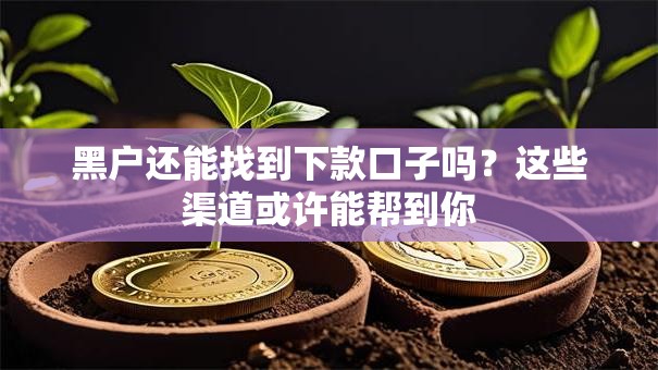 黑户还能找到下款口子吗？这些渠道或许能帮到你