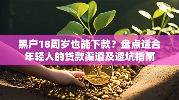黑户18周岁也能下款？盘点适合年轻人的贷款渠道及避坑指南