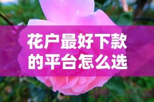 花户最好下款的平台怎么选？这份真实评测帮你避坑