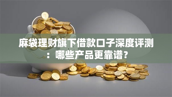 麻袋理财旗下借款口子深度评测：哪些产品更靠谱？