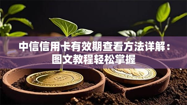 中信信用卡有效期查看方法详解：图文教程轻松掌握
