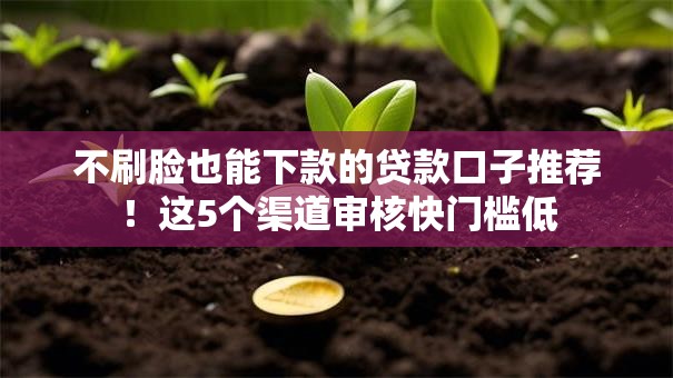 不刷脸也能下款的贷款口子推荐！这5个渠道审核快门槛低
