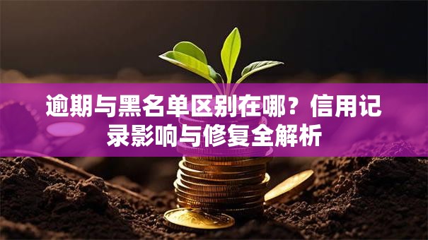 逾期与黑名单区别在哪？信用记录影响与修复全解析