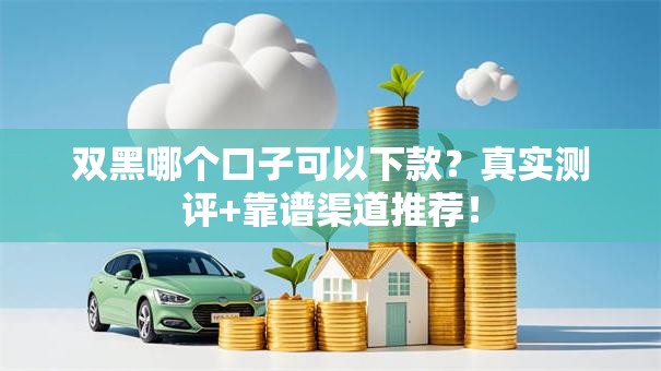 双黑哪个口子可以下款？真实测评+靠谱渠道推荐！