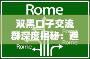 双黑口子交流群深度揭秘：避坑指南与实用技巧分享