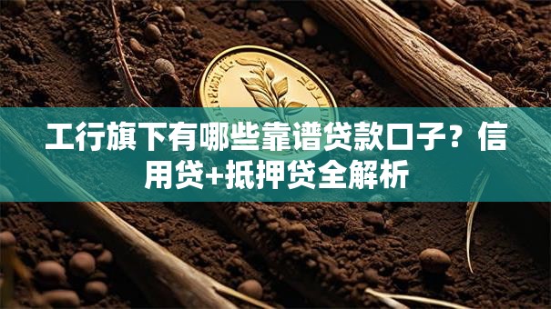 工行旗下有哪些靠谱贷款口子？信用贷+抵押贷全解析