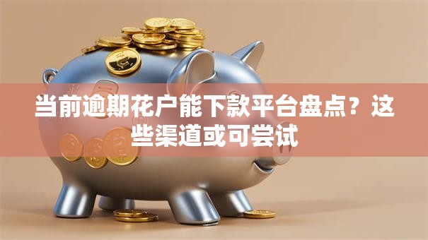 当前逾期花户能下款平台盘点？这些渠道或可尝试