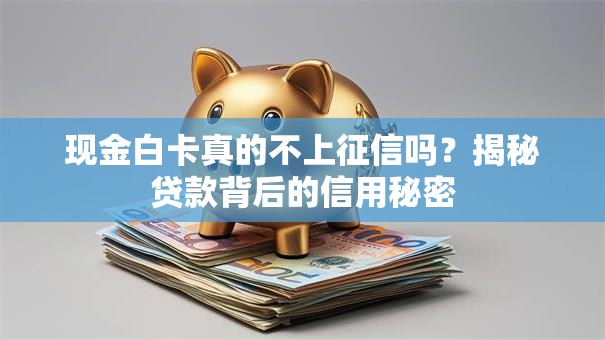 现金白卡真的不上征信吗？揭秘贷款背后的信用秘密