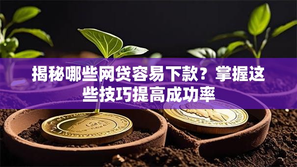 揭秘哪些网贷容易下款？掌握这些技巧提高成功率