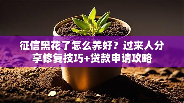 征信黑花了怎么养好？过来人分享修复技巧+贷款申请攻略