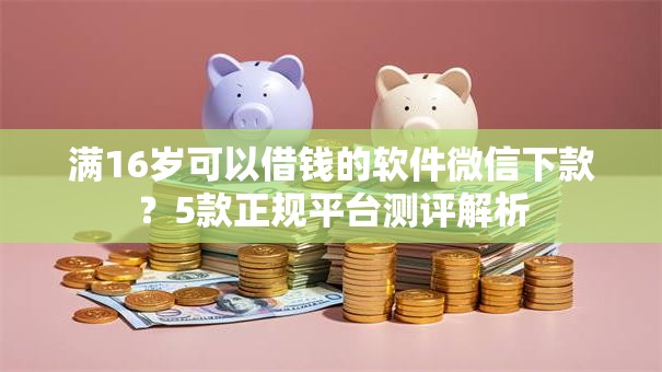 满16岁可以借钱的软件微信下款？5款正规平台测评解析