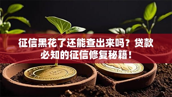 征信黑花了还能查出来吗？贷款必知的征信修复秘籍！