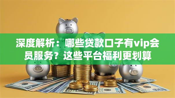 深度解析：哪些贷款口子有vip会员服务？这些平台福利更划算