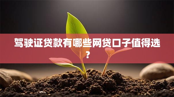 驾驶证贷款有哪些网贷口子值得选？