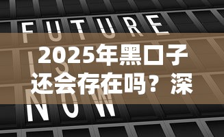 2025年黑口子还会存在吗？深度解析贷款市场走向