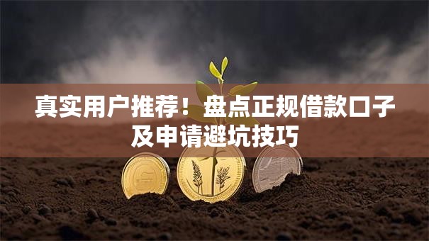 真实用户推荐！盘点正规借款口子及申请避坑技巧