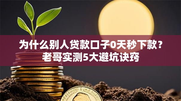 为什么别人贷款口子0天秒下款？老哥实测5大避坑诀窍