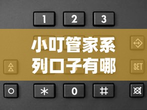 小叮管家系列口子有哪些？深度解析靠谱平台申请攻略