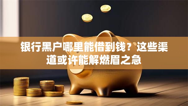 银行黑户哪里能借到钱？这些渠道或许能解燃眉之急