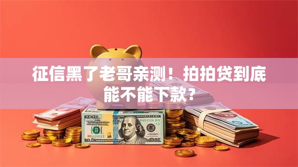 征信黑了老哥亲测！拍拍贷到底能不能下款？
