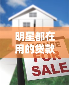 明星都在用的贷款口子有哪些？揭秘圈内人都在关注的平台
