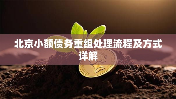 北京小额债务重组处理流程及方式详解