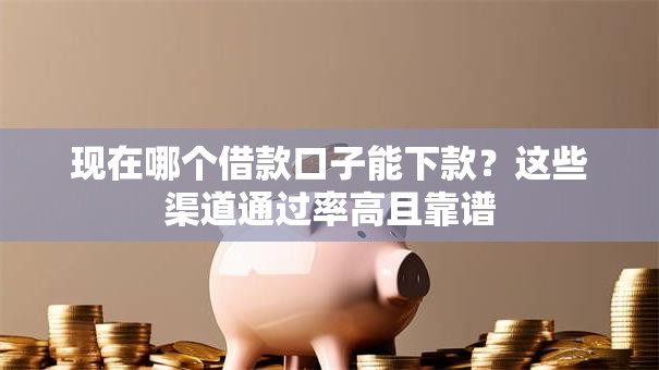 现在哪个借款口子能下款？这些渠道通过率高且靠谱