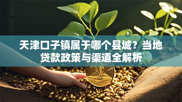 天津口子镇属于哪个县城？当地贷款政策与渠道全解析
