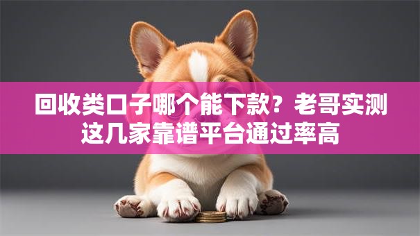 回收类口子哪个能下款？老哥实测这几家靠谱平台通过率高