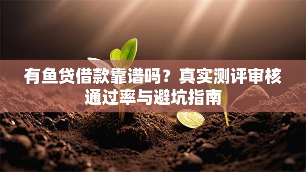 有鱼贷借款靠谱吗？真实测评审核通过率与避坑指南